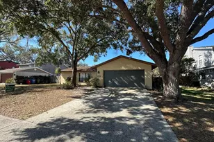 4305 Ellenville Pl, Valrico, FL 33596 - Photo 1