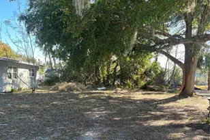 515 W Herriott Ave, Oakland, FL 34760 - Photo 1