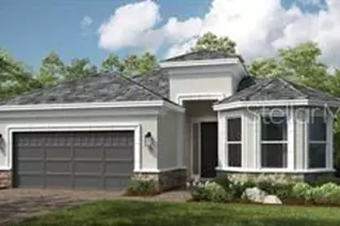 30001 Imperati Blvd, Wesley Chapel, FL 33543 - Photo 1