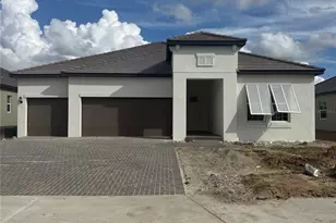 12006 Violet Jasper Dr, Parrish, FL 34219 - Photo 1