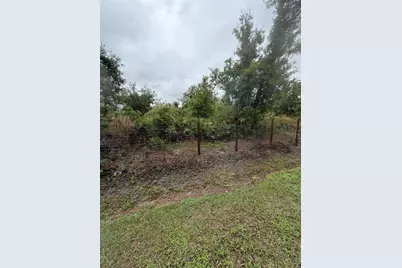 Sink Hole Road, Bartow, FL 33830 - Photo 1