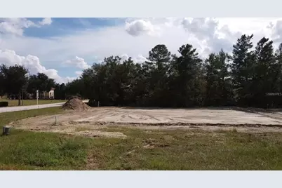 1555 Cumin Drive, Kissimmee, FL 34759 - Photo 1