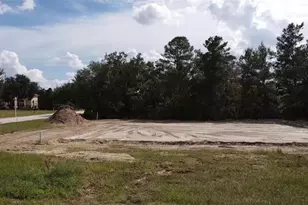 1553 Cumin Dr, Kissimmee, FL 34759 - Photo 1