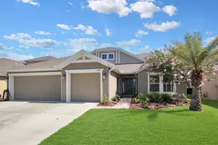 15517 Starling Water Dr, Lithia, FL 33547 - Photo 1