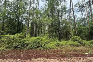 Seminole Ave, Interlachen, FL 32148 - Photo 1