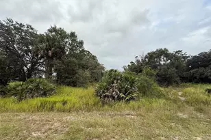 18417 NW 254th St, Okeechobee, FL 34972 - Photo 1