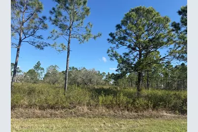 15942 NW 312th Street, Okeechobee, FL 34972 - Photo 1
