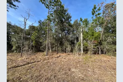 6168 Emory Avenue, Keystone Heights, FL 32656 - Photo 1