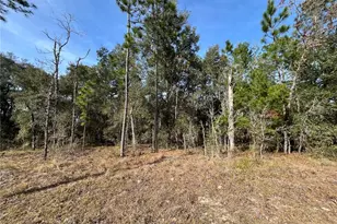 6168 Emory Ave, Keystone Heights, FL 32656 - Photo 1