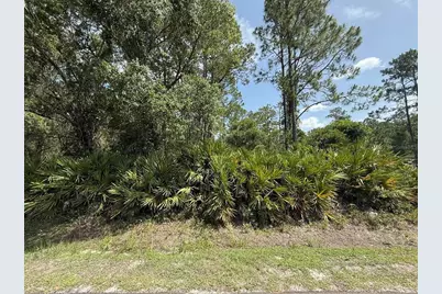 132 Millican Road, Palatka, FL 32177 - Photo 1