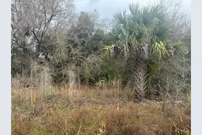 17667 NW 254th Street, Okeechobee, FL 34972 - Photo 1