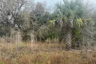 17667 NW 254th St, Okeechobee, FL 34972 - Photo 1