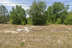 Lot 11 Dogwood Dr Ln, Ocala, FL 34472 - Photo 1