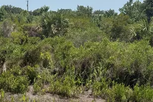 20862 NW 262nd St, Okeechobee, FL 34972 - Photo 1