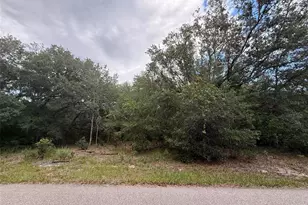 1012 Wildflower St, Lake Placid, FL 33852 - Photo 1