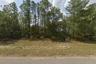 150th Ln, Ocala, FL 34473 - Photo 1