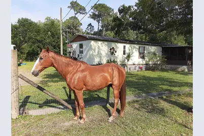 8333 Kathleen Road, Lakeland, FL 33810 - Photo 1