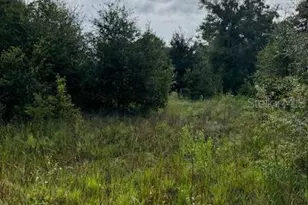 Sportsman Trail, Lakeland, FL 33809 - Photo 1