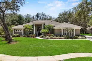 6007 Hammock Hill Ave, Lithia, FL 33547 - Photo 1