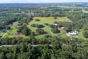 12135 Knights Griffin Rd, Thonotosassa, FL 33592 - Photo 1