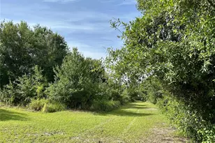 1134 Hopkins Ln, Zolfo Springs, FL 33890 - Photo 1