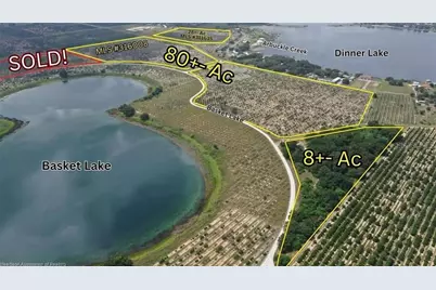 1123 Basket Lake Road, Avon Park, FL 33825 - Photo 1