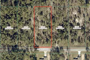 Tbd SW Nautilus Blvd Lot 28, Dunnellon, FL 34431 - Photo 1