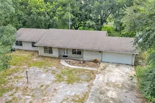 19701 Livingston Ave, Lutz, FL 33559 - Photo 1