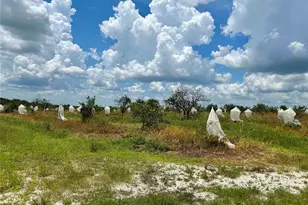 2600 E Oak Island Rd, Avon Park, FL 33825 - Photo 1