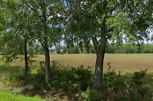 13480 Moore Rd, Lakeland, FL 33809 - Photo 1