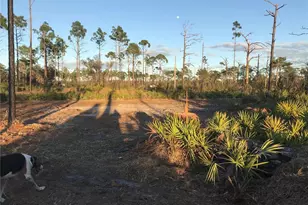 60 E St, Frostproof, FL 33843 - Photo 1