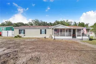 4447 Lower Meadow Rd, Mulberry, FL 33860 - Photo 1