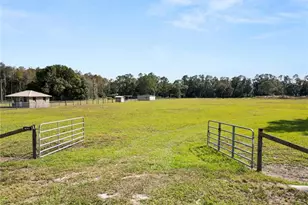 1828 Gator Creek Ranch Rd, Lakeland, FL 33809 - Photo 1