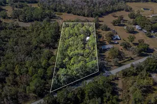 10002 Old Dade City Rd, Lakeland, FL 33810 - Photo 1