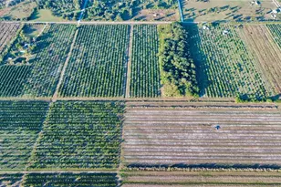 1050 Arbuckle Creek Rd, Lorida, FL 33857 - Photo 1