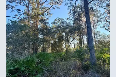 903 Hibiscus Drive, Indian Lake Estates, FL 33855 - Photo 1