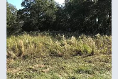 Sw 141st Ct, Ocala, FL 34481 - Photo 1