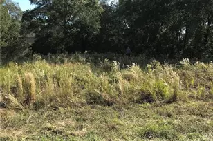 SW 141st Ct, Ocala, FL 34481 - Photo 1