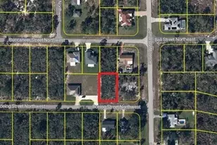 101 Boeing St NW, Lake Placid, FL 33852 - Photo 1