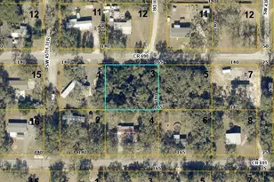 Cr 690, Webster, FL 33597 - Photo 1