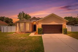 4661 Hickory Stream Ln, Mulberry, FL 33860 - Photo 1