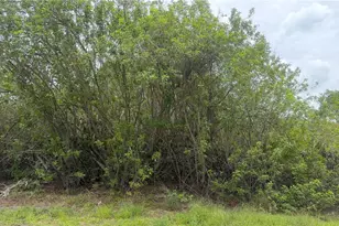 140 Fillmore Ave, Lake Placid, FL 33852 - Photo 1