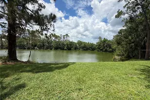 15637 Morning Dr, Lutz, FL 33559 - Photo 1