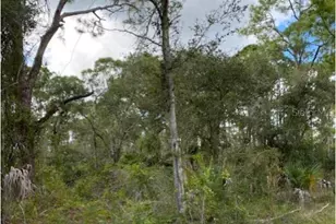 487 Halloran St, Port Charlotte, FL 33953 - Photo 1