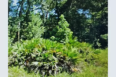 Nw 10th Place, Ocala, FL 34482 - Photo 1