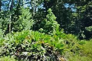 NW 10th Pl, Ocala, FL 34482 - Photo 1