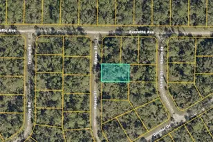 Lot 4 Alpaca St, North Port, FL 34291 - Photo 1