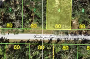 16272 Chicopee Ave, Port Charlotte, FL 33954 - Photo 1