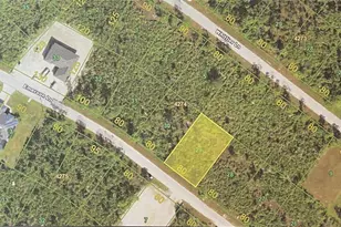14078 Emerson Ln, Port Charlotte, FL 33981 - Photo 1