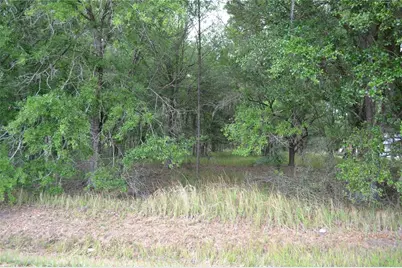 Bostick Road, Bowling Green, FL 33834 - Photo 1